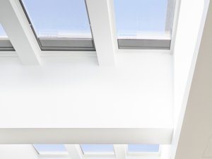 skylights in living room with blue and white interior in christchurch